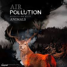 Air Pollution And Wildlife Campaign Social Template Illustration Free Image By Rawpixel Com Sasi In 2020 Water Illustration Air Pollution Pollution