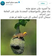 بيت لا إسراف فيه شارك Fish Pet Pets Animals