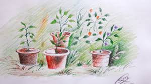 Perennial garden pencil drawing print moushmoush 5 out of 5 stars (8) $ 20.00. Flowerpot In The Garden Color Pencil Drawing 62 Youtube