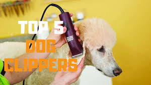 Best Dog Clippers In 2019 Top 5 Dog Clippers Review