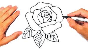 Image result for Rosa