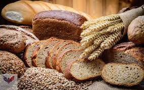 Individual retirement accounts or iras and 401ks aren't featured in any chapters and there is no bible cliff notes version on retirement, but the bible has plenty to say about work ethic, stewardship and saving, and trust in him in which we can infer his intentions on retirement. Bible Verses That Support Saving For Retirement Intrepid Eagle Finance