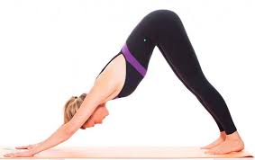 We did not find results for: Yoga Poses For Nasal Congestion Ekam Yogashala