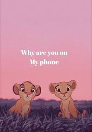 Funny Lion King Wallpaper Funny Wallpapers Funny Phone Wallpaper Dont Touch My Phone Wallpapers