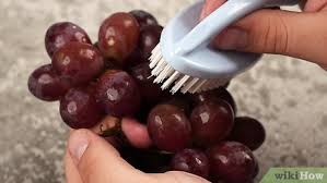 What Is Going On With My Grapes? What Are These Black Spots. #Grapes #... |  Tiktok