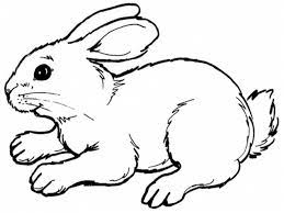 Tracez une ligne courbe sur le côté du cercle supérieur pour représenter le nez du lapin. Coloriage Lapin Couleur Dessin Gratuit A Imprimer