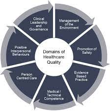 A Framework Of Nurses' Responsibilities For Quality Healthcare —  Exploration Of Content Validity - Collegian