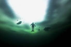 Nordblad has a history in marketing. Mermaid In The Ice Correspondent