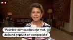 PALEIS: Zo ziet het nieuwe Huis ten Bosch van koning Willem ... - YouTube