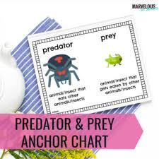 Predator Prey Anchor Charts