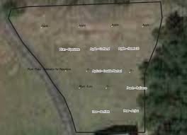 Help with small orchard design