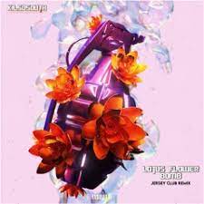 Music Tracks Songs Playlists Tagged Lotus Flower Bomb On Soundcloud