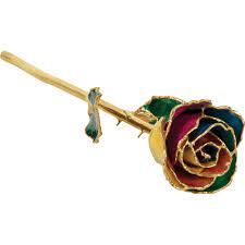Steven singer takes you behind the scenes to show you how his famous 24kt gold dipped roses are made. 24k Yellow Gold Dipped Rainbow Rose