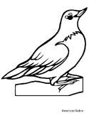 Search through 623,989 free printable colorings at getcolorings. Bird Coloring Pages