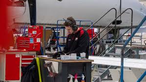 Image result for Tan 2020 Fleet