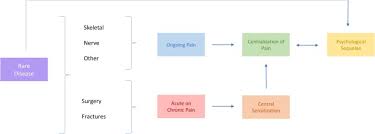 Left To Themselves Time To Target Chronic Pain In Childhood Rare Diseases Sciencedirect