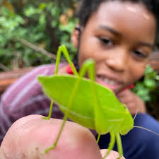 John Thoms (@roving_learners) • Instagram photos and videos