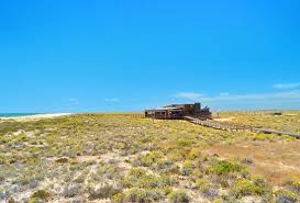 Playa aromática dari ilha deserta. Estamine Restaurant Faro Menu Prices Restaurant Reviews Tripadvisor