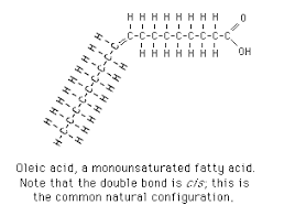 Молярная масса of c17h35cooh is 284.4772 g/mol. Fatty Acids Classification Of Fatty Acids