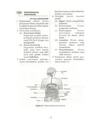 Nota ringkas biologi tingkatan 4 dalam format pdf download online untuk rujukan pelajar yang mengambil subjek tersebut. Topik 6 Nutrisi