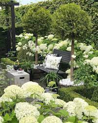 Aquaponics Jetzt Konnen Sie Ganz Einfach Ihr Eigenes Gemuse Anbauen Leben Ideen Small Garden Design Cottage Garden Hydrangea Garden
