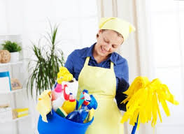 We've got homemade cleaning products and supplies, tip. Spring Cleaning Tips And Trivia Ganz Parent Club