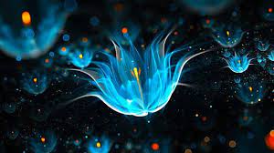 14 Most Preferably Desktop Backgrounds In High Quality For Computers Laptops Ali Imagez Neon Wallpaper Abstract Wallpaper Neon
