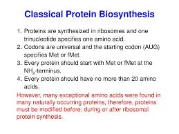 Mass spectrometry and proteomics facility. Post Translational Modifications Ptm Ppt Download