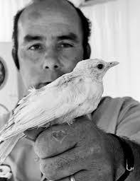 Grady Warren's Instagram, Twitter & Facebook