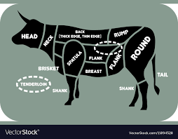 beef cuts chart cow