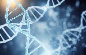 National Als Biorepository Atsdr