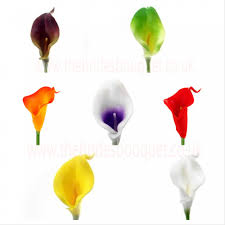 Calla Lily Sample On Full Stem Real Touch Artificial