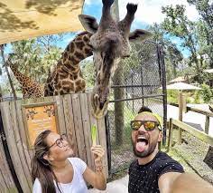 Central Florida Zoo Botanical Gardens 3755 Nw Highway 17 92 Sanford 407 323 4450 The Zoo Is Home To More Than Florida Zoo Theme Park Florida Attractions