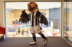 O animal, símbolo da nobreza, saiu das casas dos fundadores, onde ornamentava as entradas, para representar o clube como símbolo. Condor Furacao Clube Desportivo Nacional Madeira