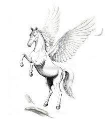 Lovely Black And White Pegasus With Feathers Tattoo Design Pegasus Tattoo Horse Tattoo Design Pegasus Art