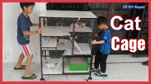 Berikut tips untuk membuat keripik singkong renyah dan tahan lama untuk disimpan dari. Cara Membuat Kandang Kucing 3 Tingkat Mewah Diy Kittens Cage House Youtube