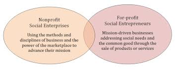 Social enterprise has been at the heart of our work for over 30 years, even before we had a title for what we were doing. Comparison Of For Profit And Non Profit Social Enterprise Gray Plant Download Scientific Diagram