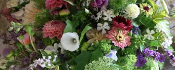 This article is the transcript from the helpful. Buy Flowers For Local Collection In Bruton And Wincanton Areas Common Farm Flowers