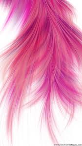 Laden Sie Background Pink Feathers For Whatsapp He Background Feathers Fondos Laden Pink Cellphone Wallpaper Live Wallpaper Iphone Feather Wallpaper