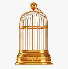 Golden Bird Cage