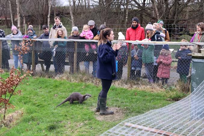 British Wildlife Centre Review - What the Redhead said