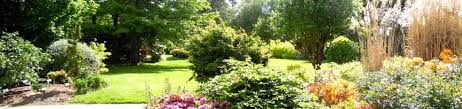 Bonjour, nous sommes vraiment désolés et très surpris de votre retour, cela ne correspond pas à l'accueil habituel aux jardins de brocéliande. Histoire Des Jardins Jardins De Broceliande
