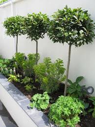 Http Media Virbcdn Com Cdn Images Resize 640x640 20 Pageimage 501720 2982144 Img 2374 Jpg In 2020 Courtyard Gardens Design Small Courtyard Gardens Courtyard Garden