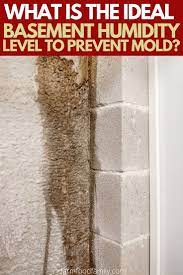 Fighting basement humidity in the summer news and events for systems inc. What Is The Ideal Basement Humidity Level To Prevent Mold