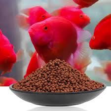 Check spelling or type a new query. Bessn Hot Murah Protein Tinggi Menambahkan Untuk Menambahkan Tubuh Aqua Makanan Ikan Buy Tinggi Protein Makanan Segar Cacing Makan Untuk Ikan Ikan Kecil Makanan Product On Alibaba Com