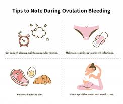 Image result for Ovulation