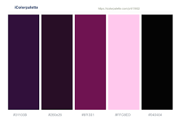 Print available in her shop. Valentino Tamarind Disco Pink Lace Black Color Scheme Icolorpalette