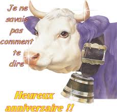 Bon Anniversaire Min Tiot Mes Souvenirs En Ch Ti