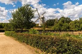 Danny Schepers Royalty-Free Images, Stock Photos & Pictures