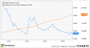 coffee bean prices are set to surge should starbucks